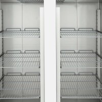EASYLINE Tiefkühlschrank 1400 / 2-türig GN2/1 - Monoblock